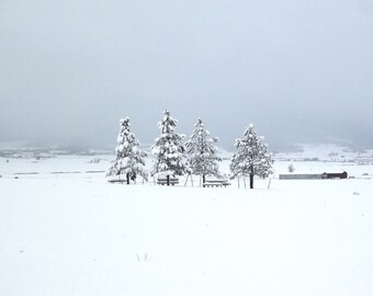 Quiet Winter - Blank Notecard