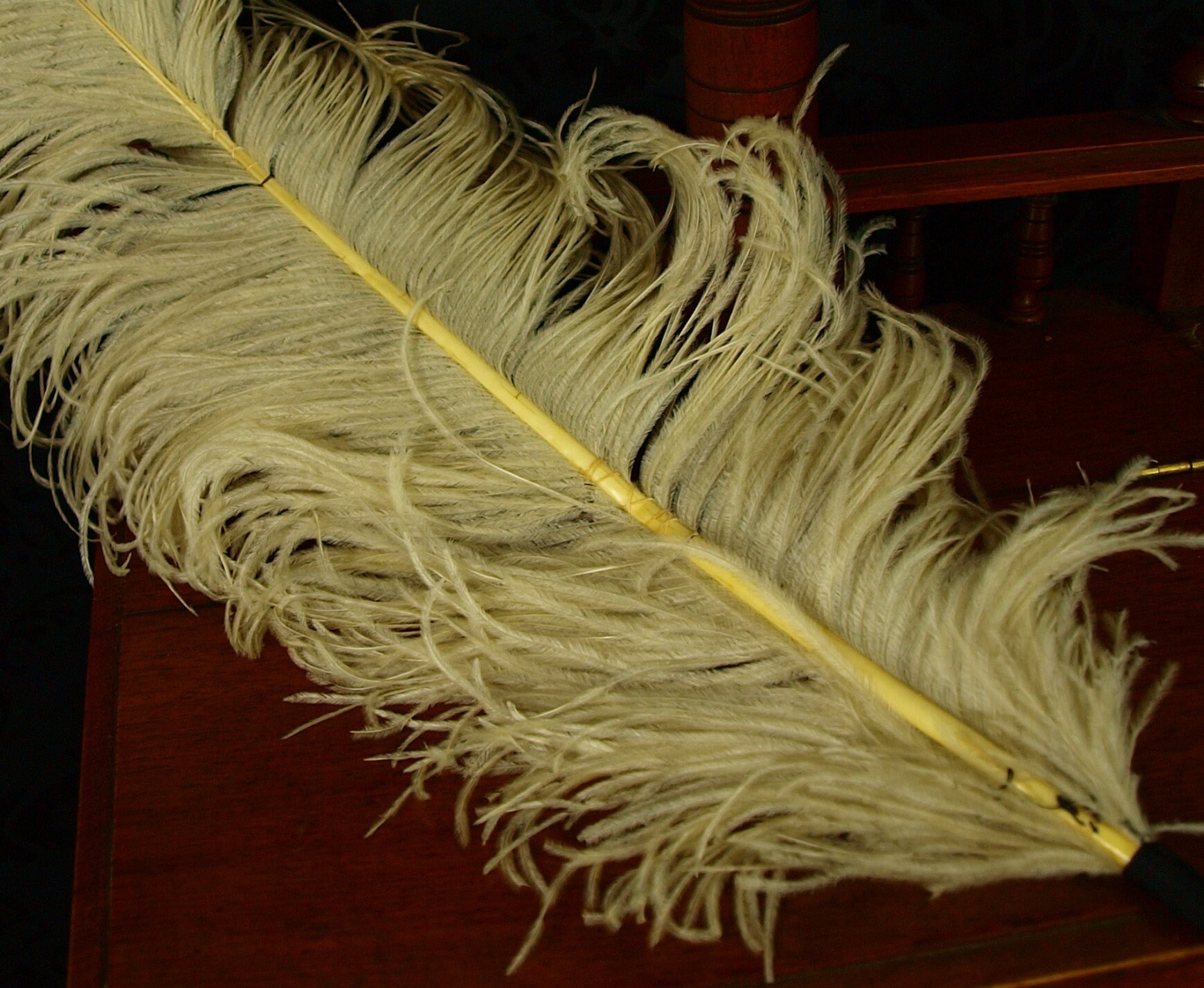 1930's Vintage collection of Ostrich feathers hat trims millinery