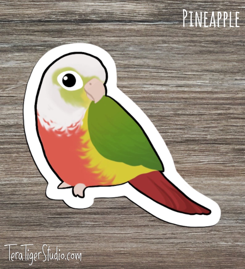 Suncheek Cinnamon Turquoise Cinnamon Green-Cheek Conure Lover/'s STICKER pack \u2022 Mooncheek Turquoise Yellow-Sided Pineapple