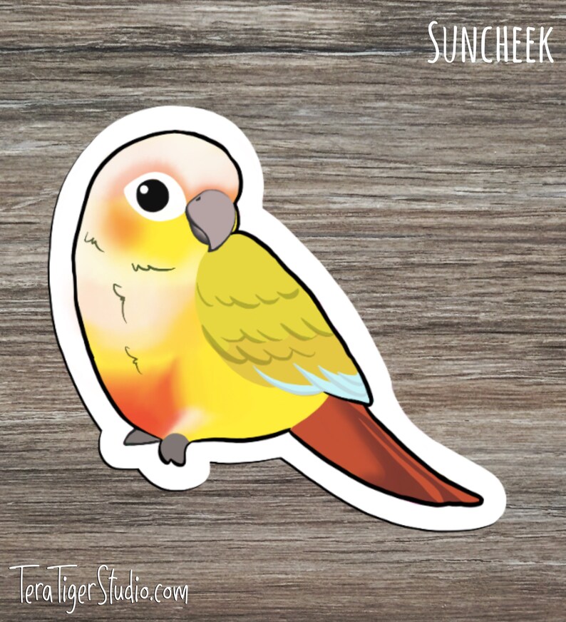 Suncheek Cinnamon Turquoise Cinnamon Green-Cheek Conure Lover/'s STICKER pack \u2022 Mooncheek Turquoise Yellow-Sided Pineapple