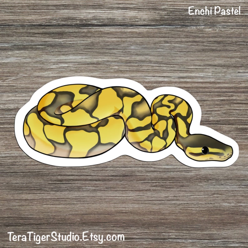 Stickers Paper Party Supplies Axanthic Enchi Clown Bumblebee Banana Snake Snake Magnet Pet Snakes Cute Snake Ball Python Morph Lover U2019s Sticker Pack Pastel