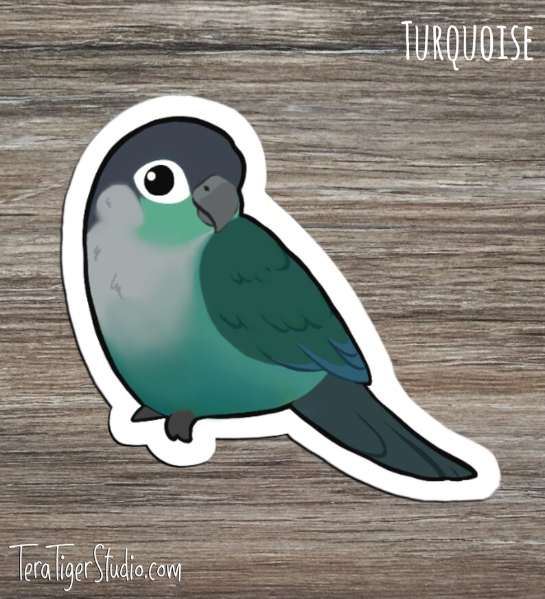 Suncheek Cinnamon Turquoise Cinnamon Green-Cheek Conure Lover/'s STICKER pack \u2022 Mooncheek Turquoise Yellow-Sided Pineapple