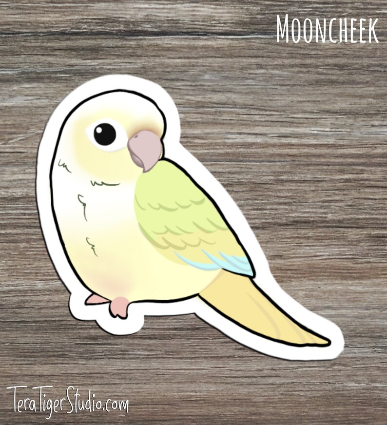 Suncheek Cinnamon Turquoise Cinnamon Green-Cheek Conure Lover/'s STICKER pack \u2022 Mooncheek Turquoise Yellow-Sided Pineapple