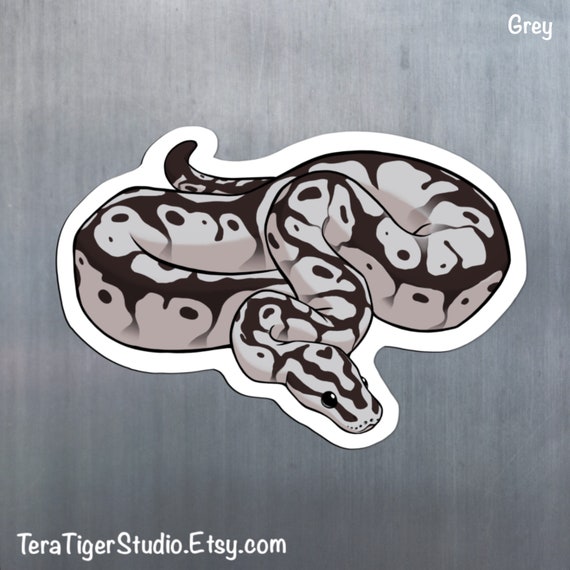 Ball Python Lovers Magnet Pack Pastel Enchi Clown Etsy