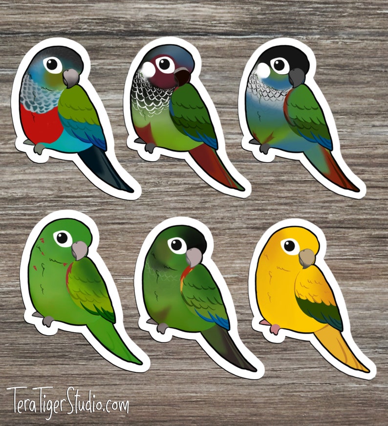 Conure Lover's MAGNET pack \u2022 Painted Golden White-Eyed Fiery-Shouldered Pearly