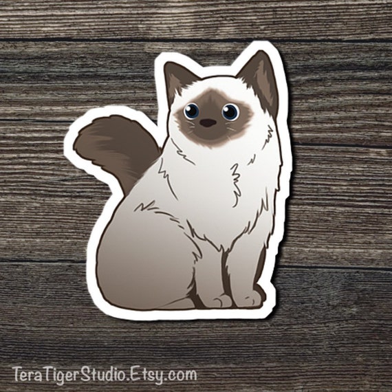 Cat Lover S Magnet Pack Tuxedo Himalayan Longhair Etsy