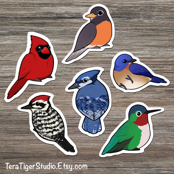 North American Backyard Birds Sticker Pack Robin Eastern Etsy