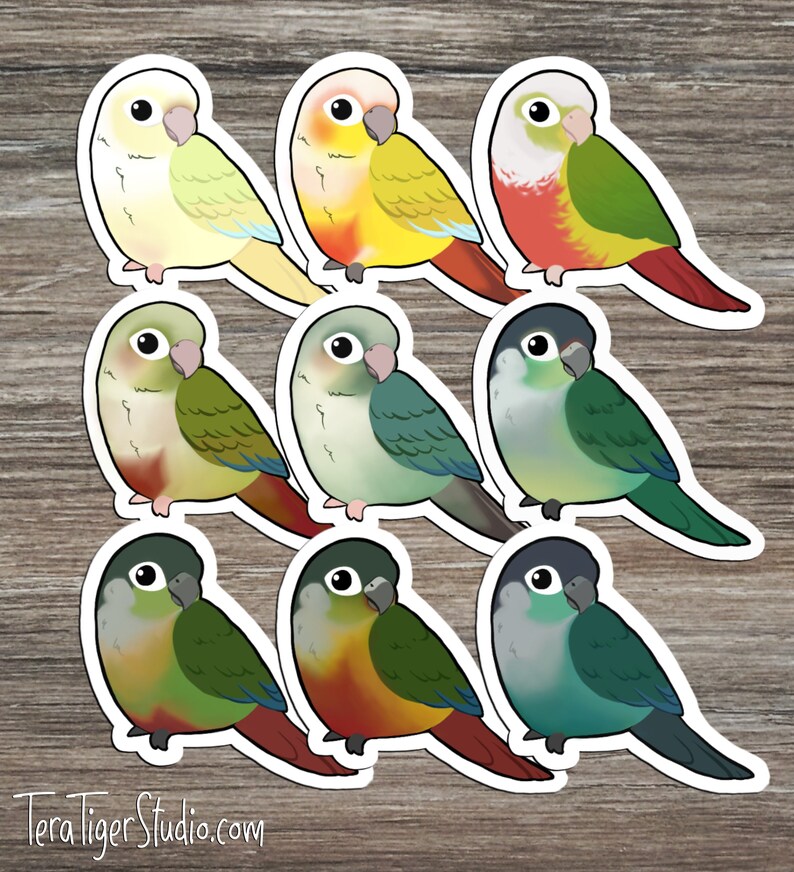 Suncheek Cinnamon Turquoise Cinnamon Green-Cheek Conure Lover/'s STICKER pack \u2022 Mooncheek Turquoise Yellow-Sided Pineapple