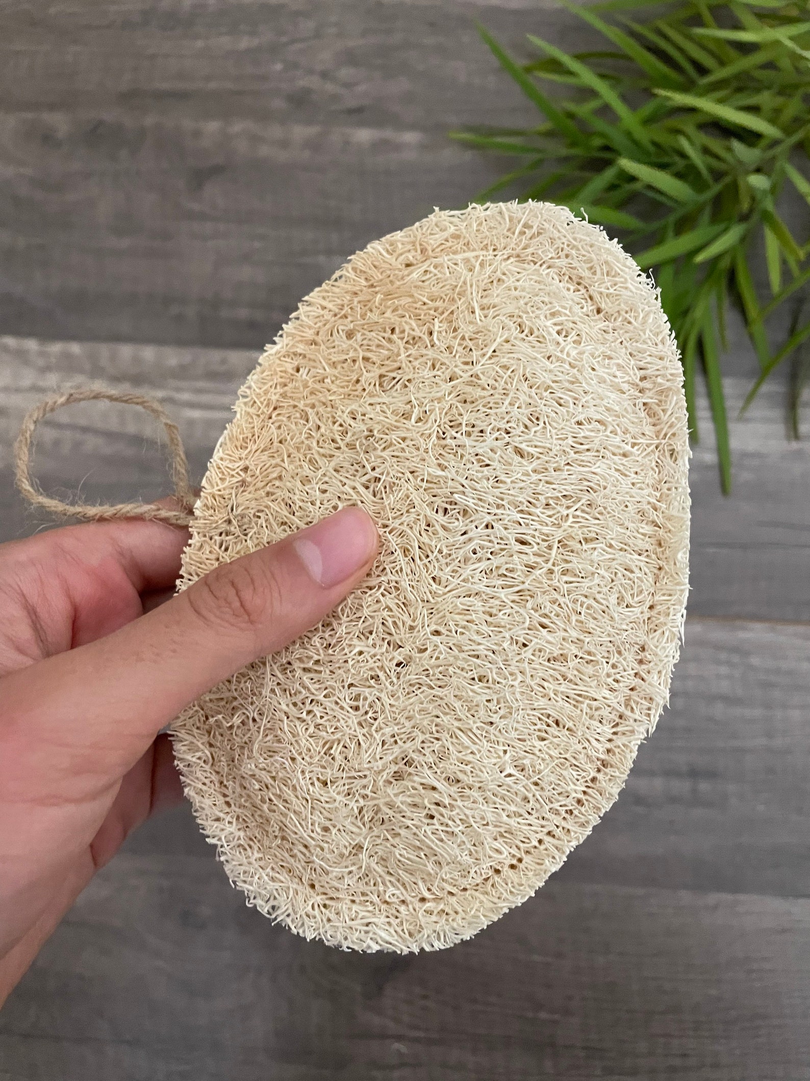 Set of 3 Loofah Sponge Eco Friendly Bath Sponge Zero Waste Etsy