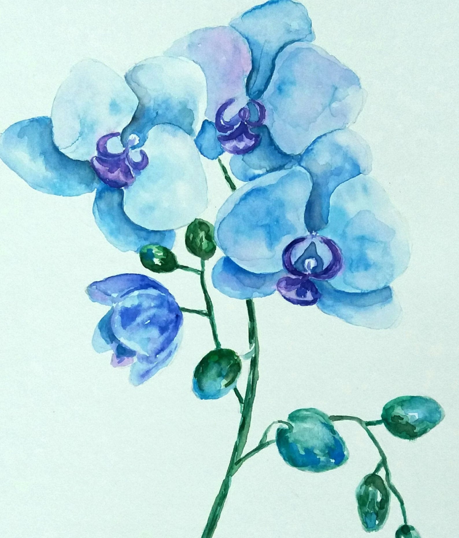 Orchid Painting Original Watercolor Blue Orchid Interiors Etsy