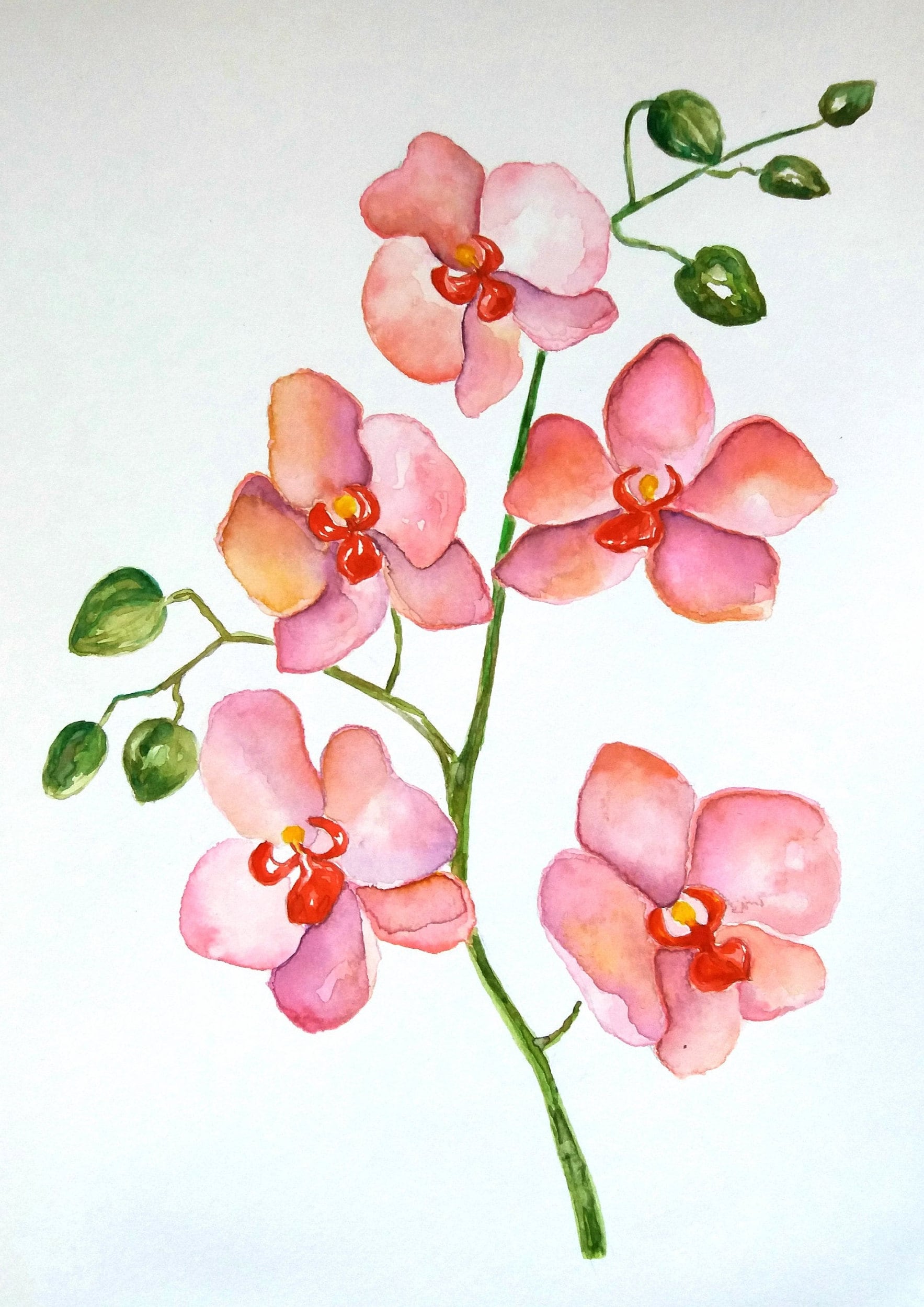 Orchid painting Orchid Art Original Watercolor Botanical Etsy
