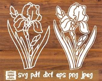 Download Iris Flower Svg Etsy