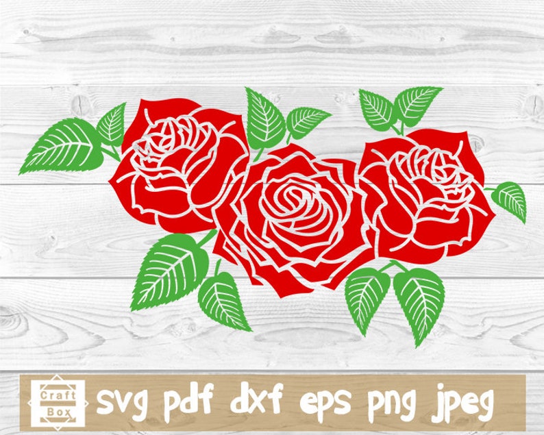 Download Tqpyzgj36u 1 M