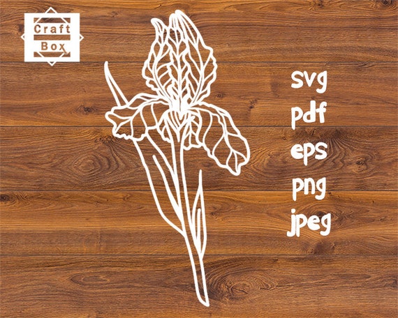 Free Free 215 Iris Flower Svg SVG PNG EPS DXF File