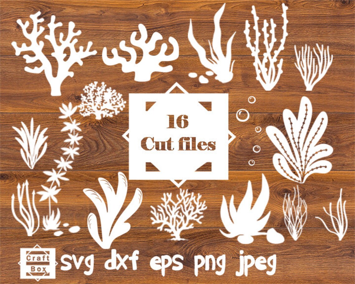Korallen Svg Seegras Svg Korallen Clipart Svg Korallen Svg Etsy