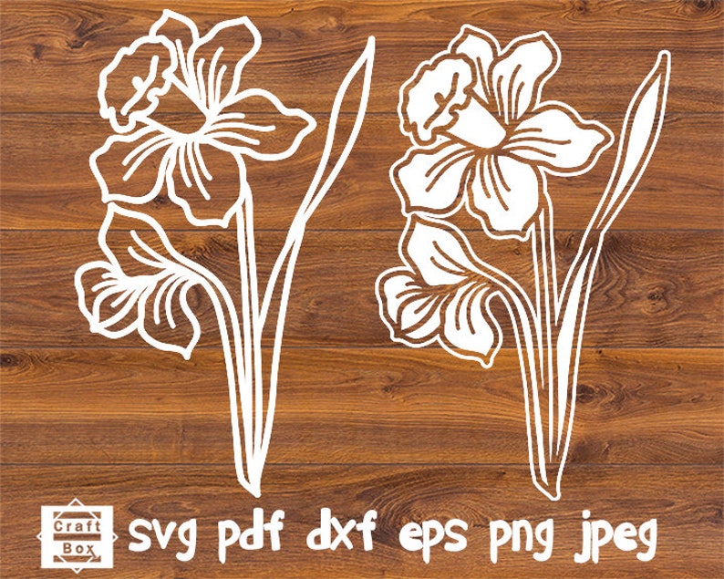 Download Narcissus svg narcissus dxf flower svg narcissus stencil ...