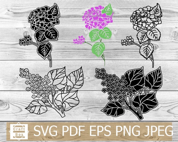 Free Free 277 Svg File Free Lilac Flower Svg SVG PNG EPS DXF File