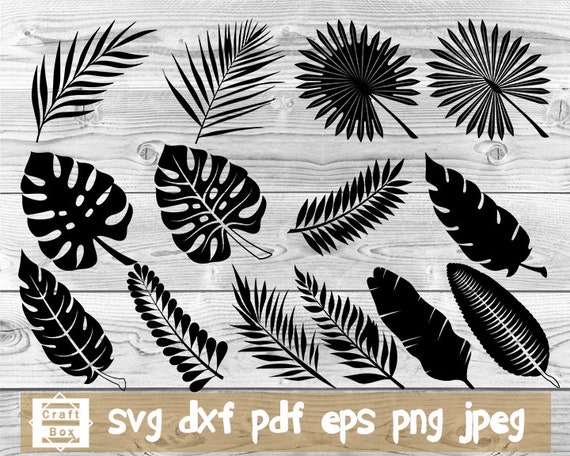 Download Free Tropical Leaf Palm Branches Svg Palm Petals Svg Fern Svg Etsy SVG Cut Files