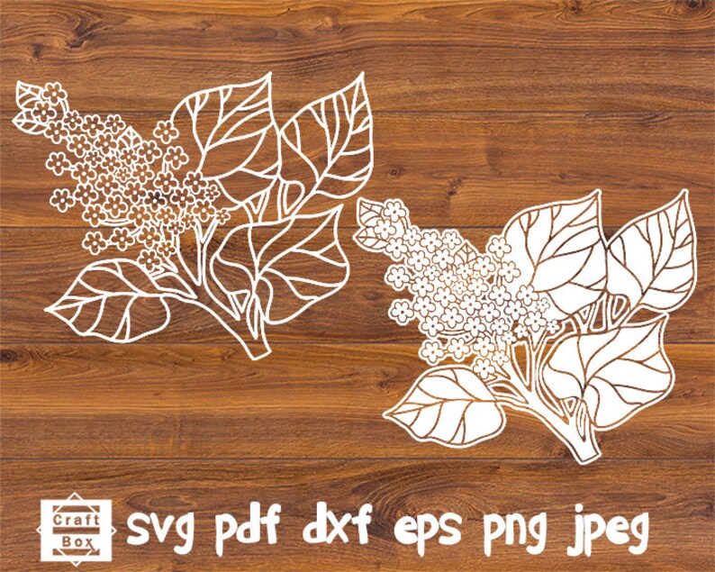 Download Lilac svg flower svg lilac lilac bundle svg lilac clipart | Etsy