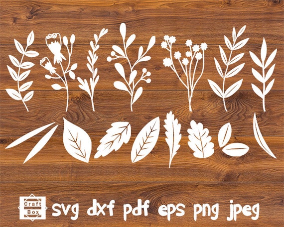 Download Floral Svg Floral Design Svg Plant Svg Leaf Svg Flower Etsy