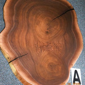 May include: A live edge wooden slab with a natural, organic shape. The wood grain features concentric rings and a dark brown color, with a lighter edge. A black crack runs across the surface. A white label with the letter "A" and the date "01 26 2026" is in the bottom right corner.