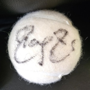 May include: A white tennis ball with black felt-tip pen writing that says "Bye Bye".