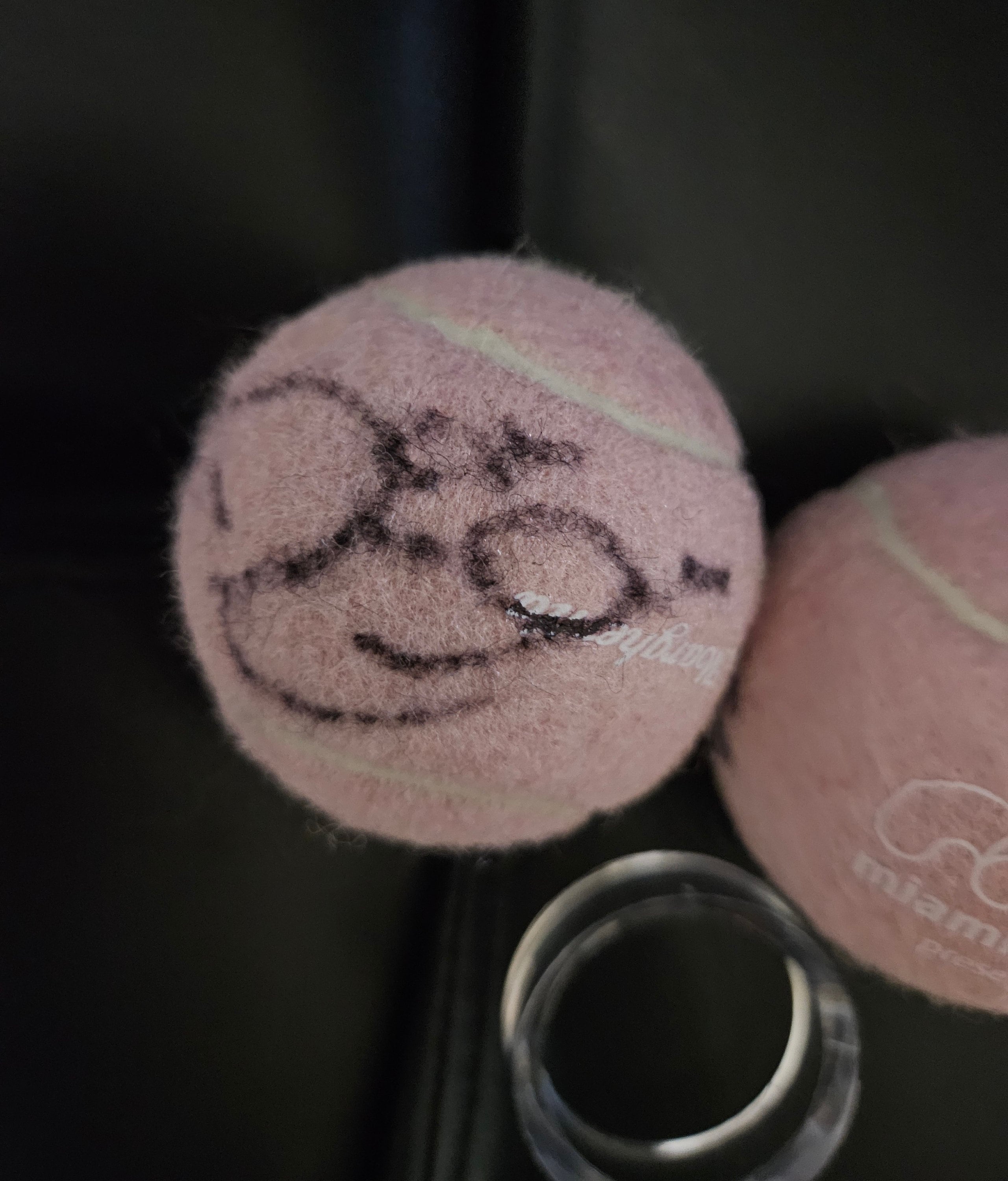 DARREN CAHILL  Autographed  Miami Open rare pink tennis  ball plus free handmade plastic ball stand.