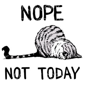 Funny Cat design, Nope Not Today Cat, Not Today, Not Today Cat design,  Cat Lover shirt Digital Download, PNG Direct to garment, Sublimation