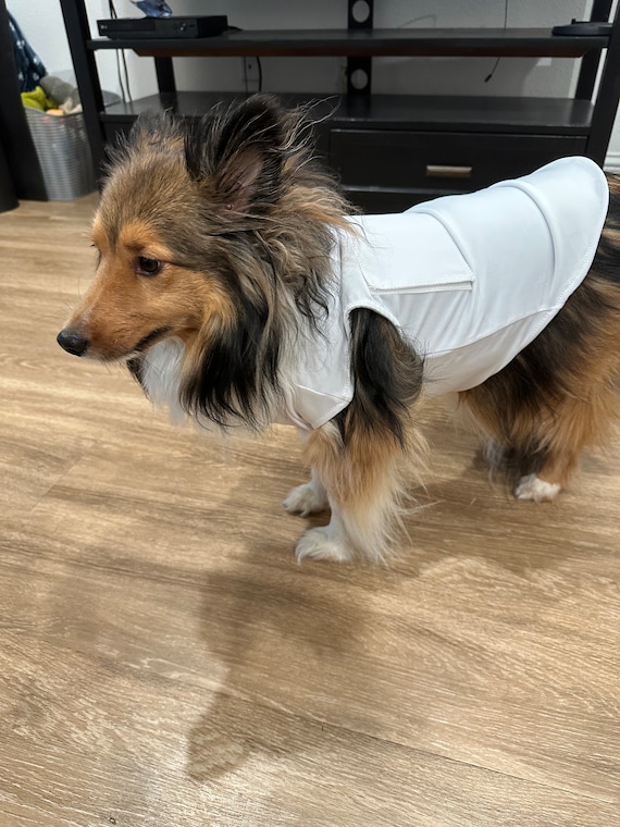 Tee shirt chien operation hotsell