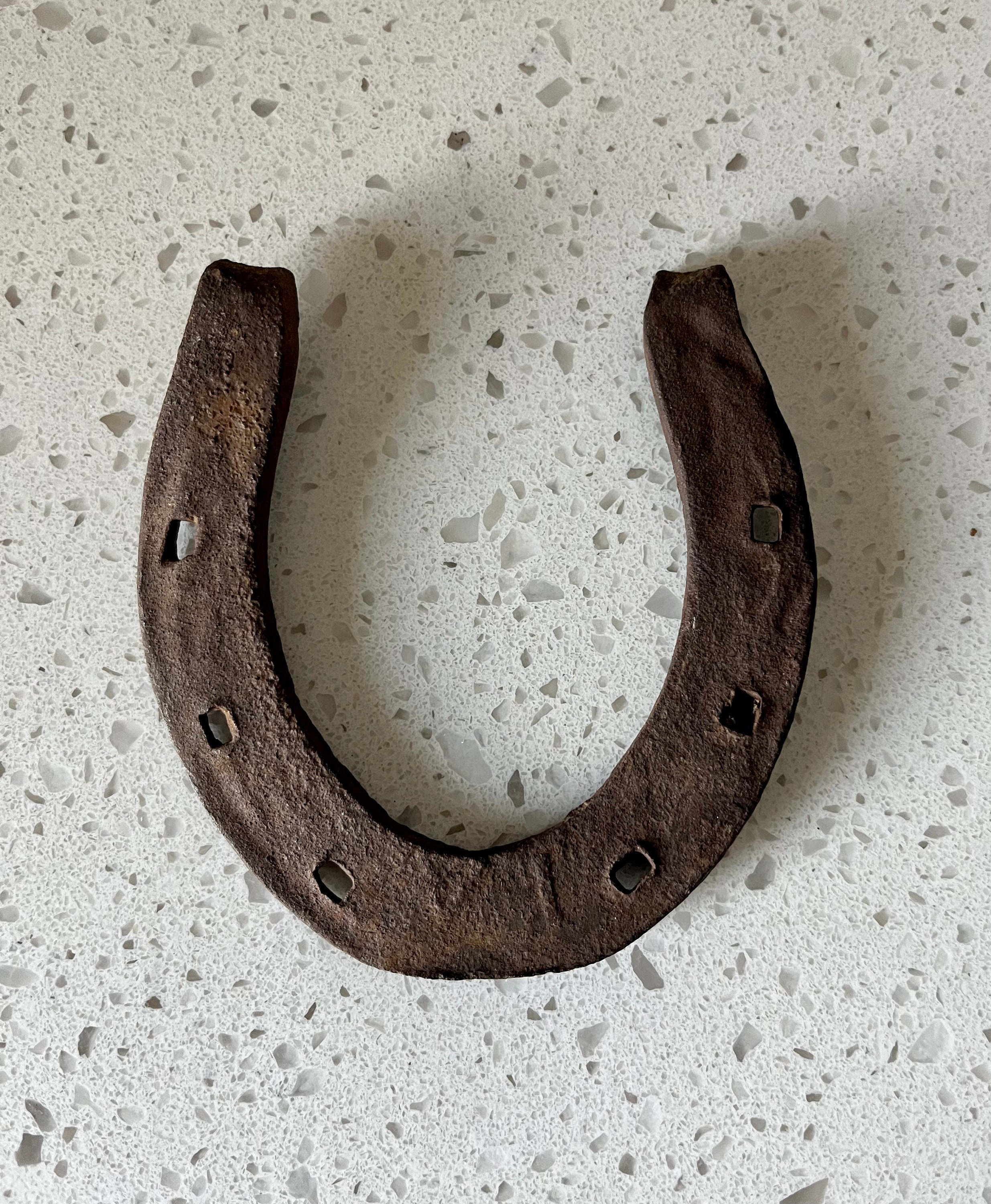 Pony Horseshoe Etsy