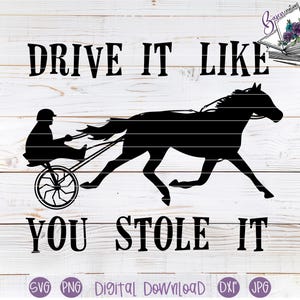 Drive it like you stole it Cricut and Silhouette cut files, Pace Horse, racing, Travel mug