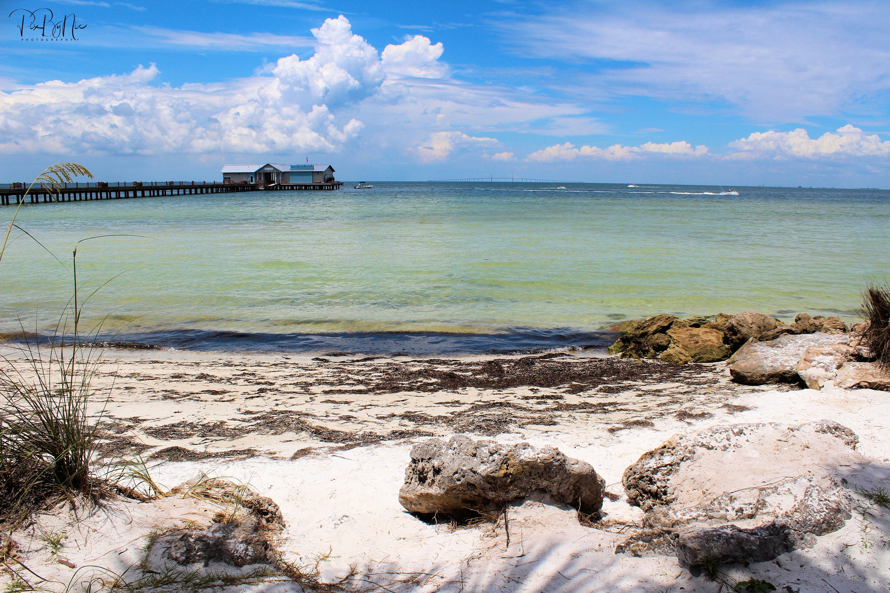 Anna Maria Island City Pier, Rebuilt and Opened June 2020 Single Use