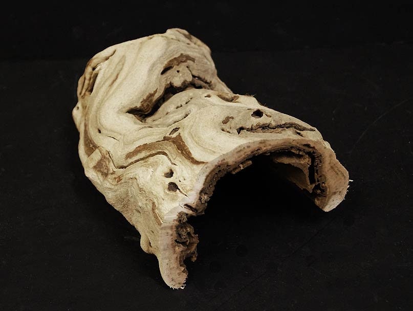 Terrarium/reptile Branches 3 Piece Kit Etsy