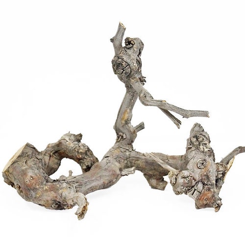 Natural Grapevine/grapewood Branches for Reptiles Terrairums Etsy
