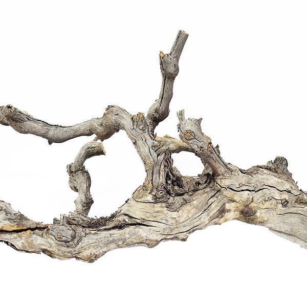 Natural Grapevine/Grapewood Branches for Reptiles, Terrairums, 18"