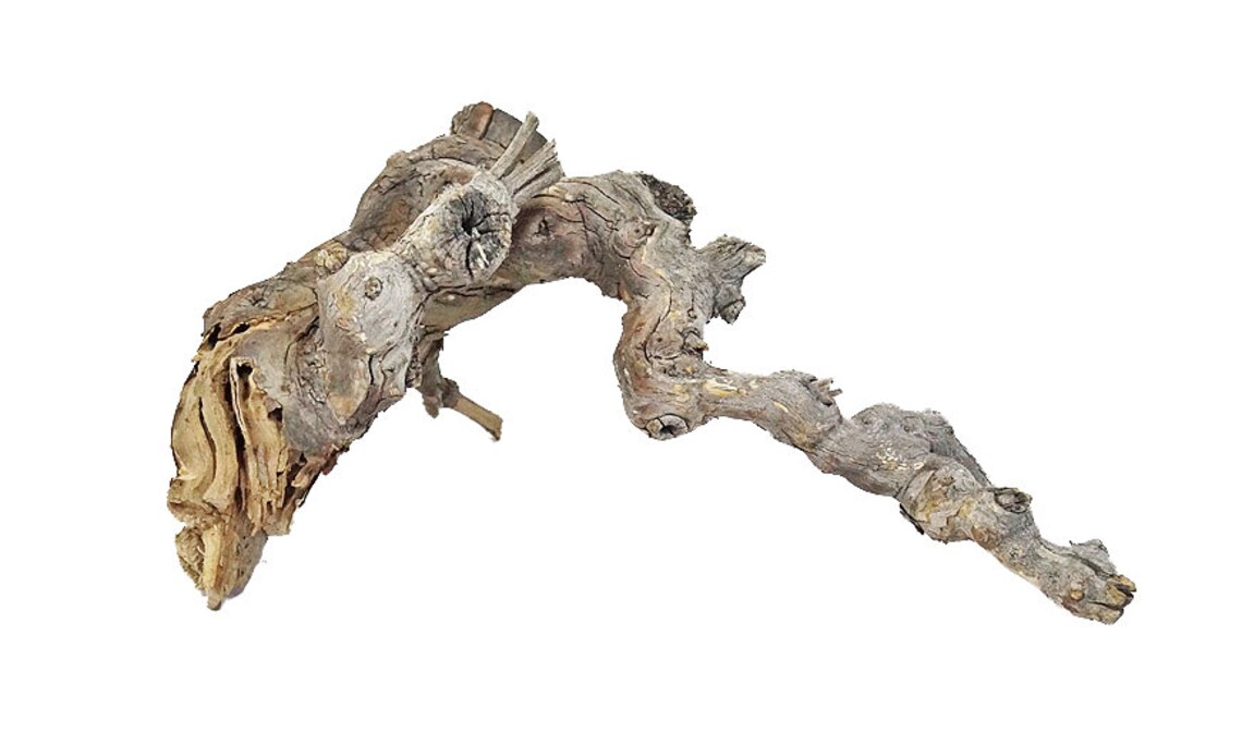 Natural Grapevine/grapewood Branches for Reptiles Terrariums Etsy