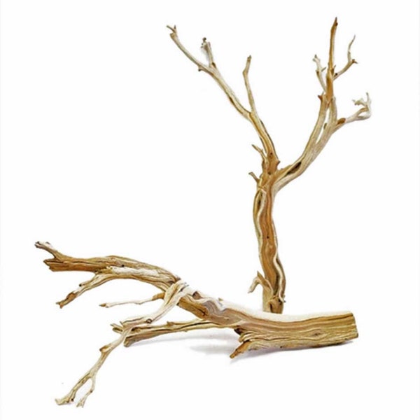 California Driftwood/Ghostwood, 24"