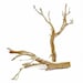 see more listings in the CA Driftwood/Ghostwood section