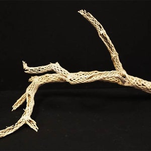 Sandblasted Cholla Branch, Reptiles or Aquariaums, 18"