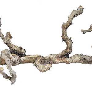 Natural Grapevine/Grapewood Branches for Reptiles, Terrairums, 24"