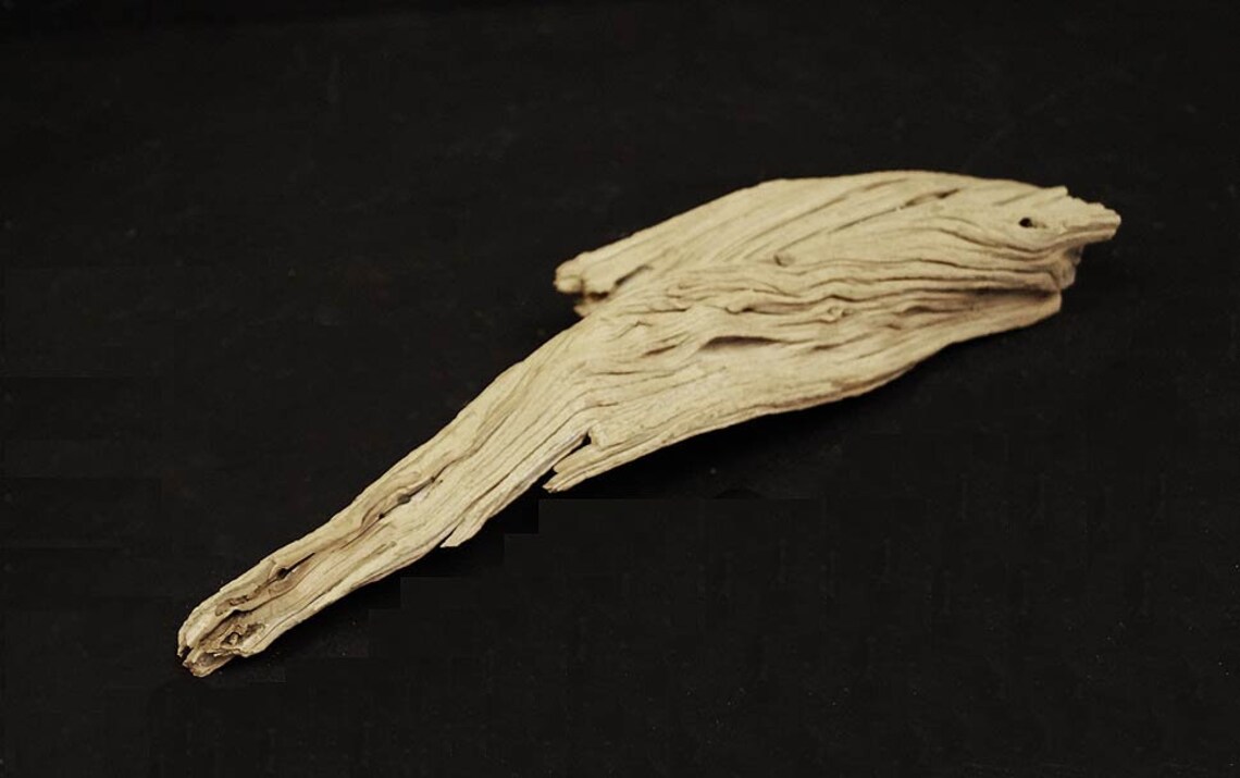 Terrarium/reptile Branches 3 Piece Kit Etsy