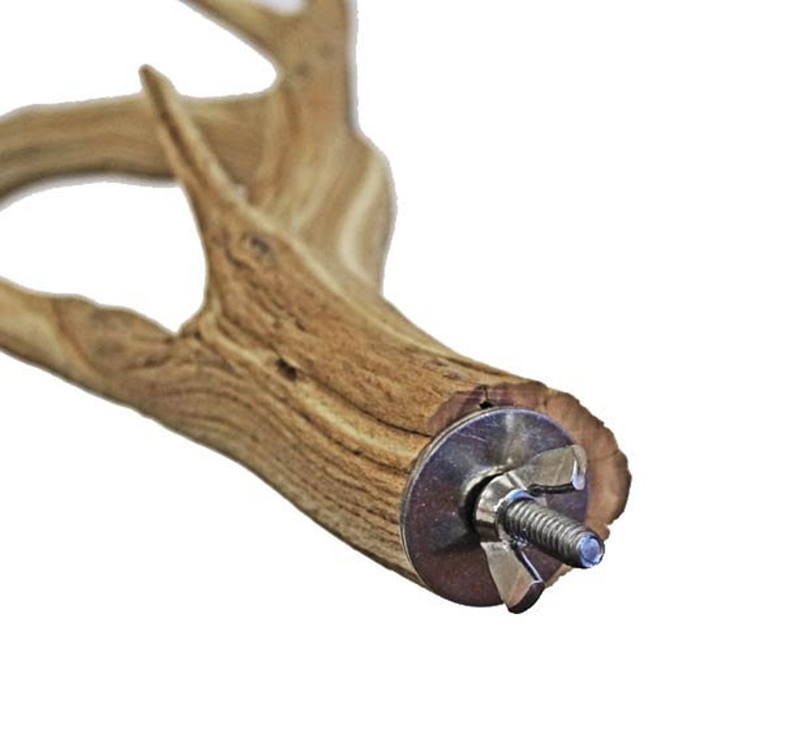 Sandblasted Driftwood Bird Perch 14 Etsy