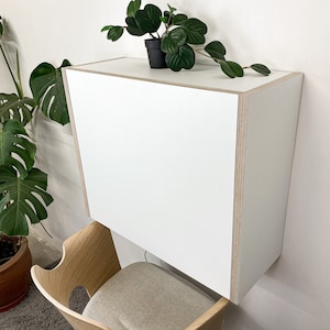May include: A wall-mounted white desk with a rectangular shape and exposed plywood edges. The desk features a flat top surface and a solid front panel. A small potted plant with dark green leaves sits on the top surface of the white desk unit.