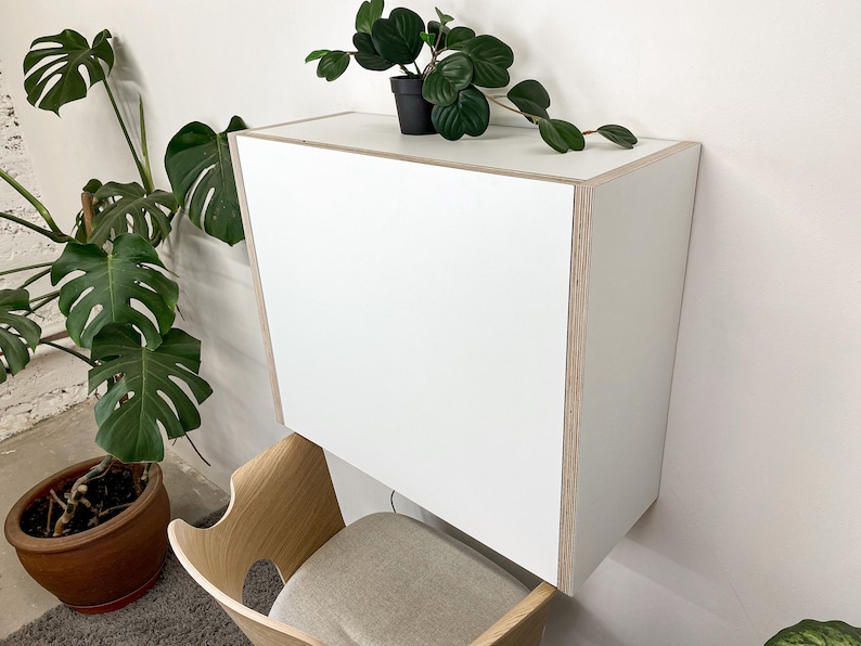 May include: A wall-mounted white desk with a rectangular shape and exposed plywood edges. The desk features a flat top surface and a solid front panel. A small potted plant with dark green leaves sits on the top surface of the white desk unit.