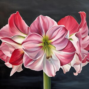 Amaryllis, bulb painting, Christmas Flowers, floral art, &quot;Amaryllis Unbound&quot;