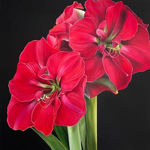 Amaryllis, bulb painting, Christmas Flowers, floral art, "Naughty or Nice"