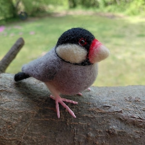 Needle felted realistic birds-Java Sparrow-Ready to ship