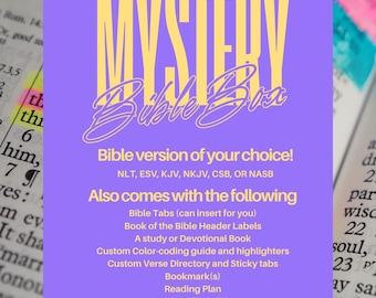 Mystery Bible Study Box