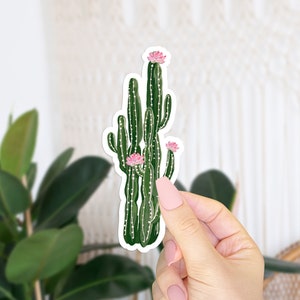 Blooming Saguaro Sticker, Cactus Stickers, Botanical Stickers, Cute Latina Sticker, Cool Mexican Sticker for Laptop, Water Bottle Decal
