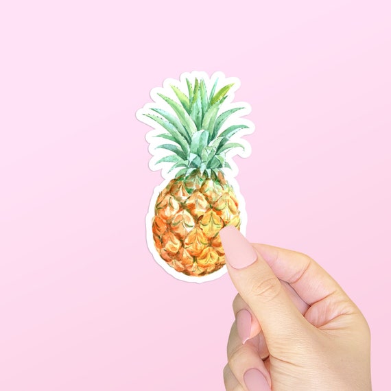 Pineapple Multi Color Aesthetic Sticker